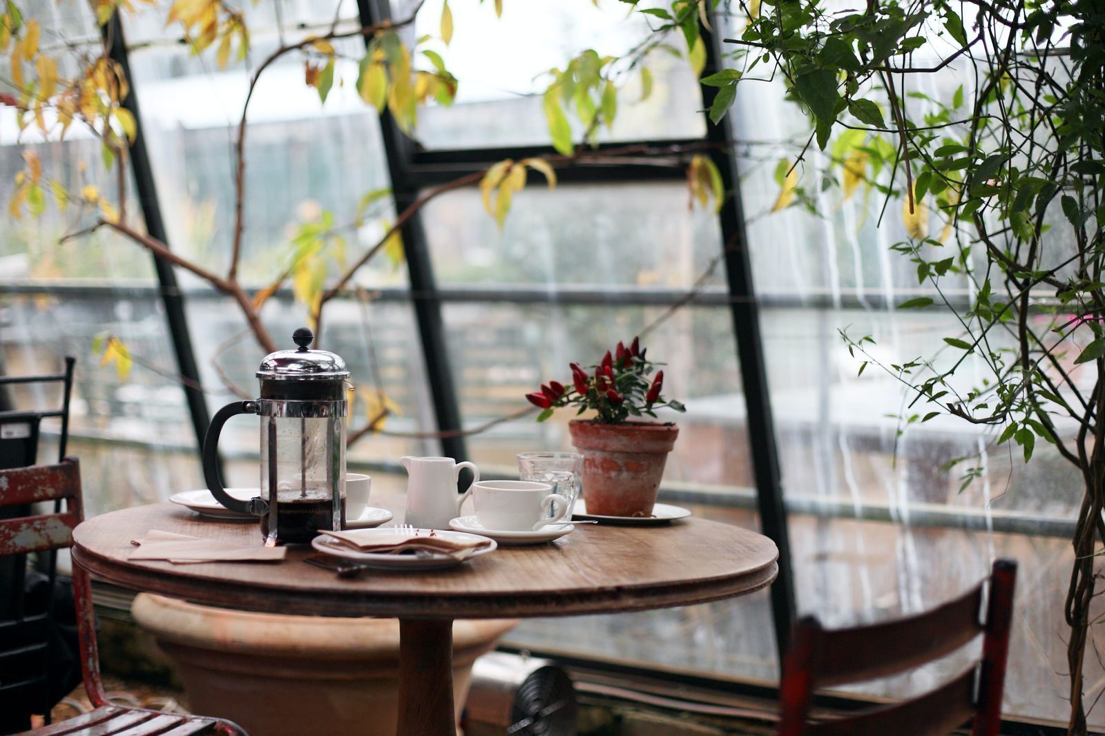 Roaming Aromas: BestCafeDesigns.com Redefines the Blend ofDesign, Travel, and Coffee