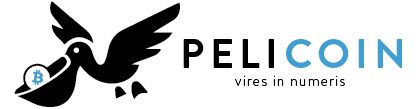 Simple and secure cryptocurrency network at Pelicoin 