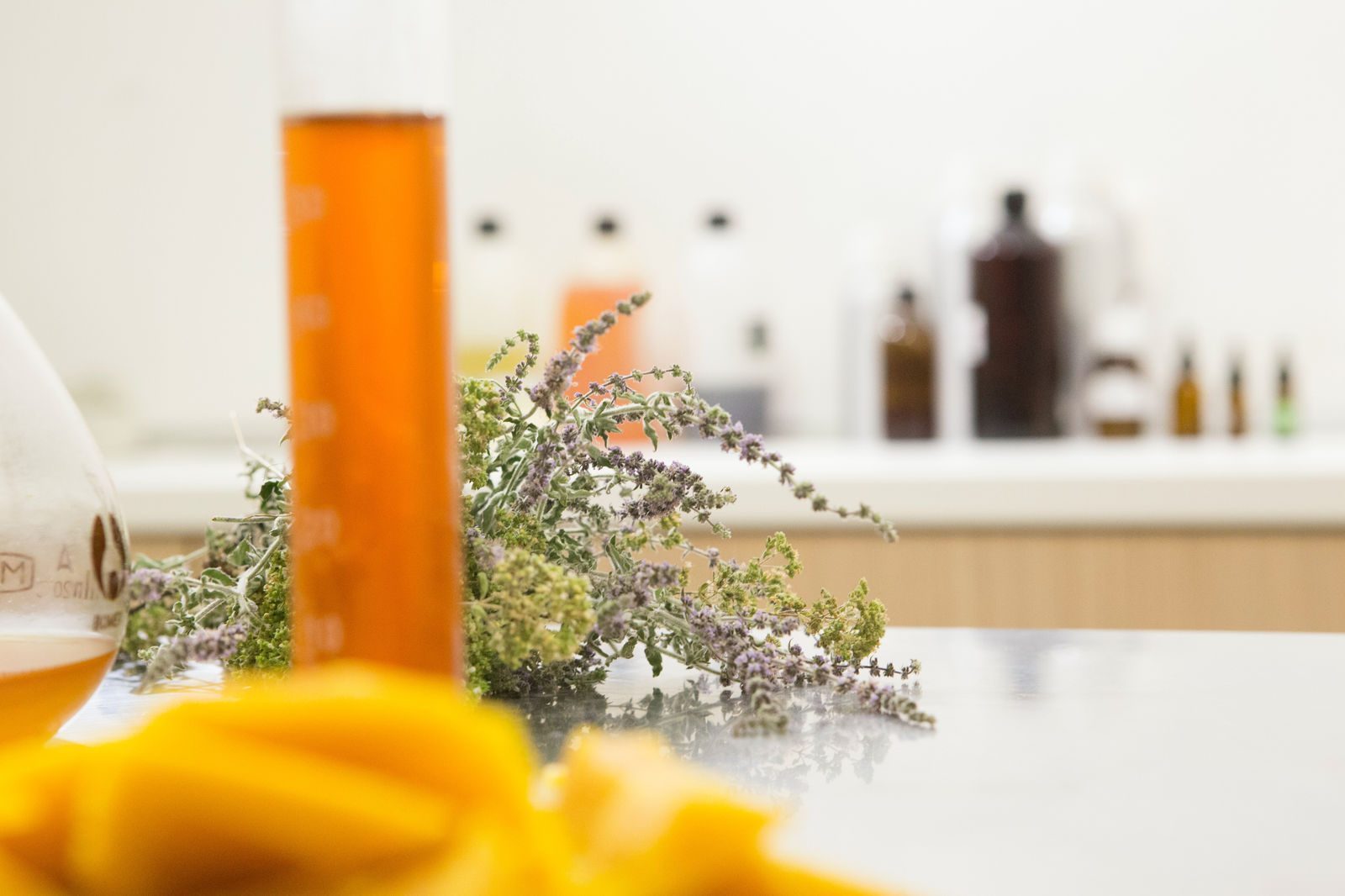 Wildcrafted and Bio-Active Skincare – Where Science and Nature Converge