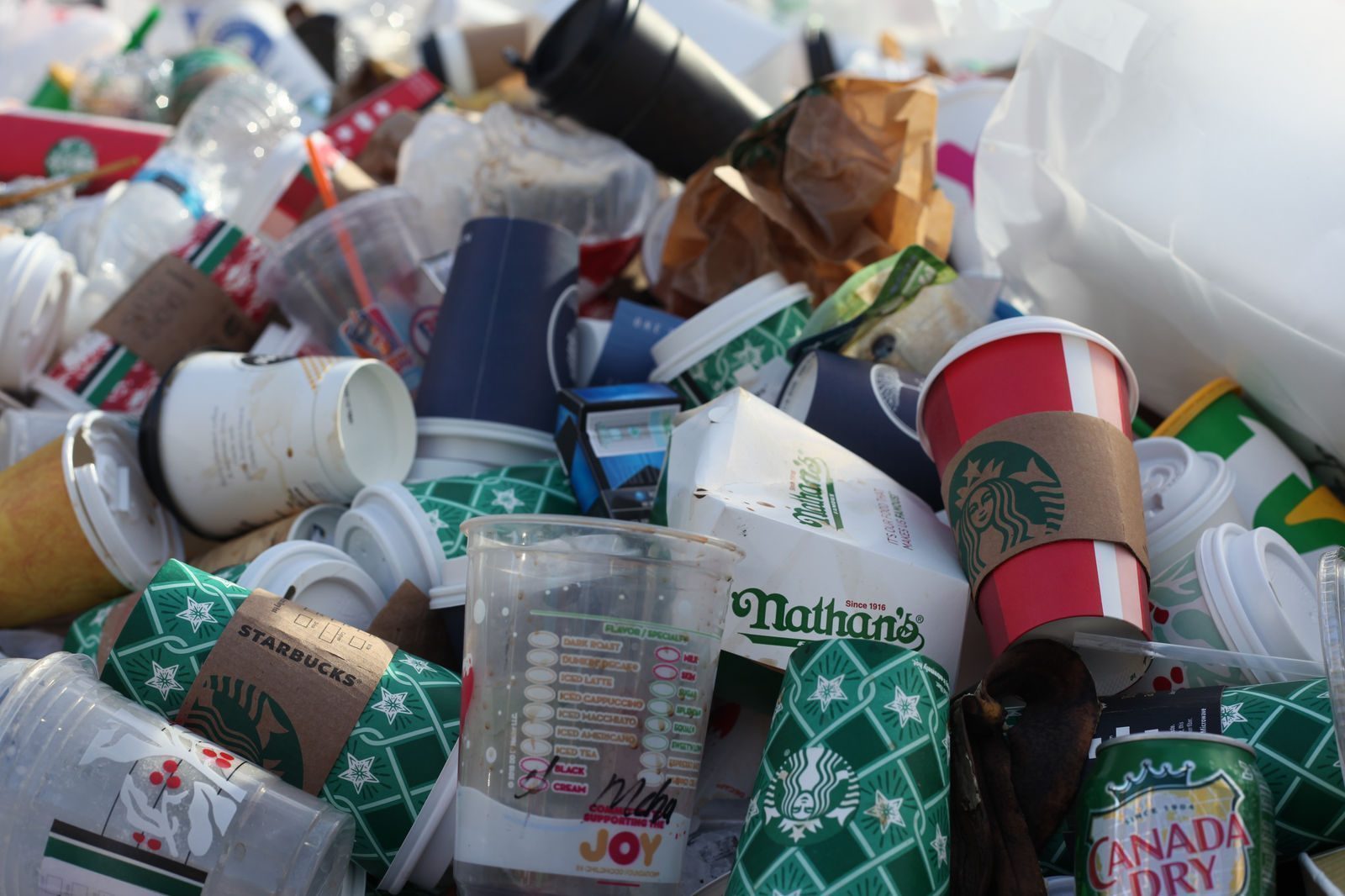 Zestain: Pioneering a Zero-Waste Future in Business Sustainability